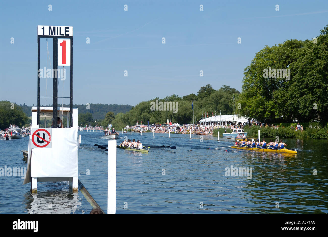 Eights racing neck and neck at the the 1 mile mark at   the Henley Royal Regatta Stock Photo