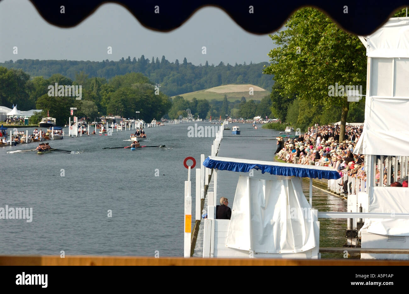 Eights racing down the course at the Henley Royal Regatta in July on the River Thames, Henley-on-Thames, England, UK Stock Photo