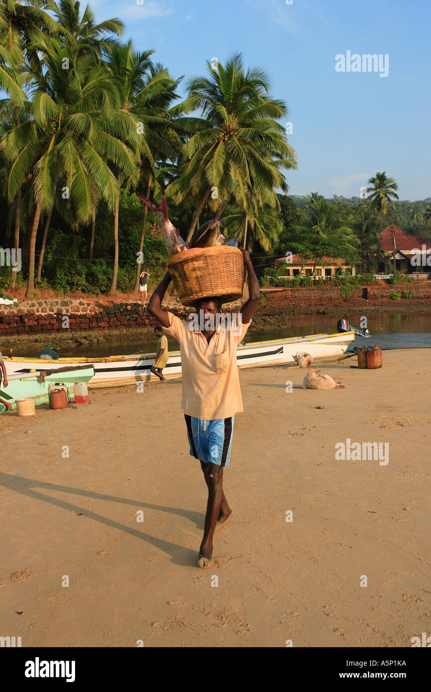 Local Indian commercial fisherman bringing ashore his catch in wicker basket. Stock Photo