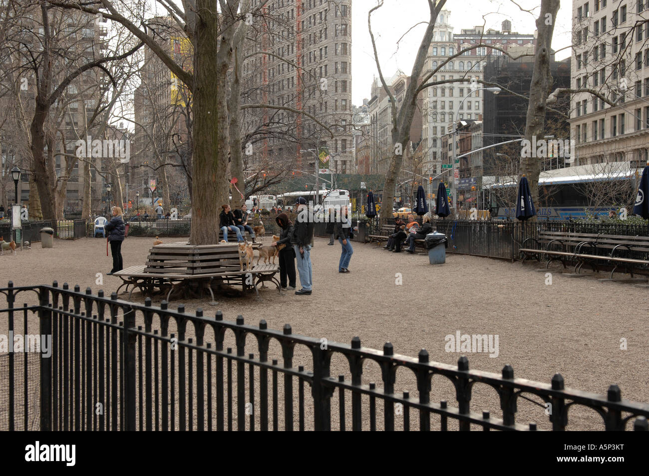 Union Square Dog Park Stock Photo Alamy