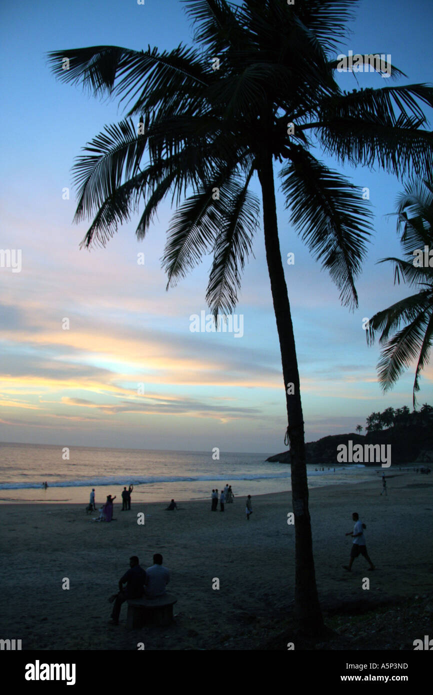 Coconut trees at sunset on Kovalam beach, Kerela, India Stock Photo