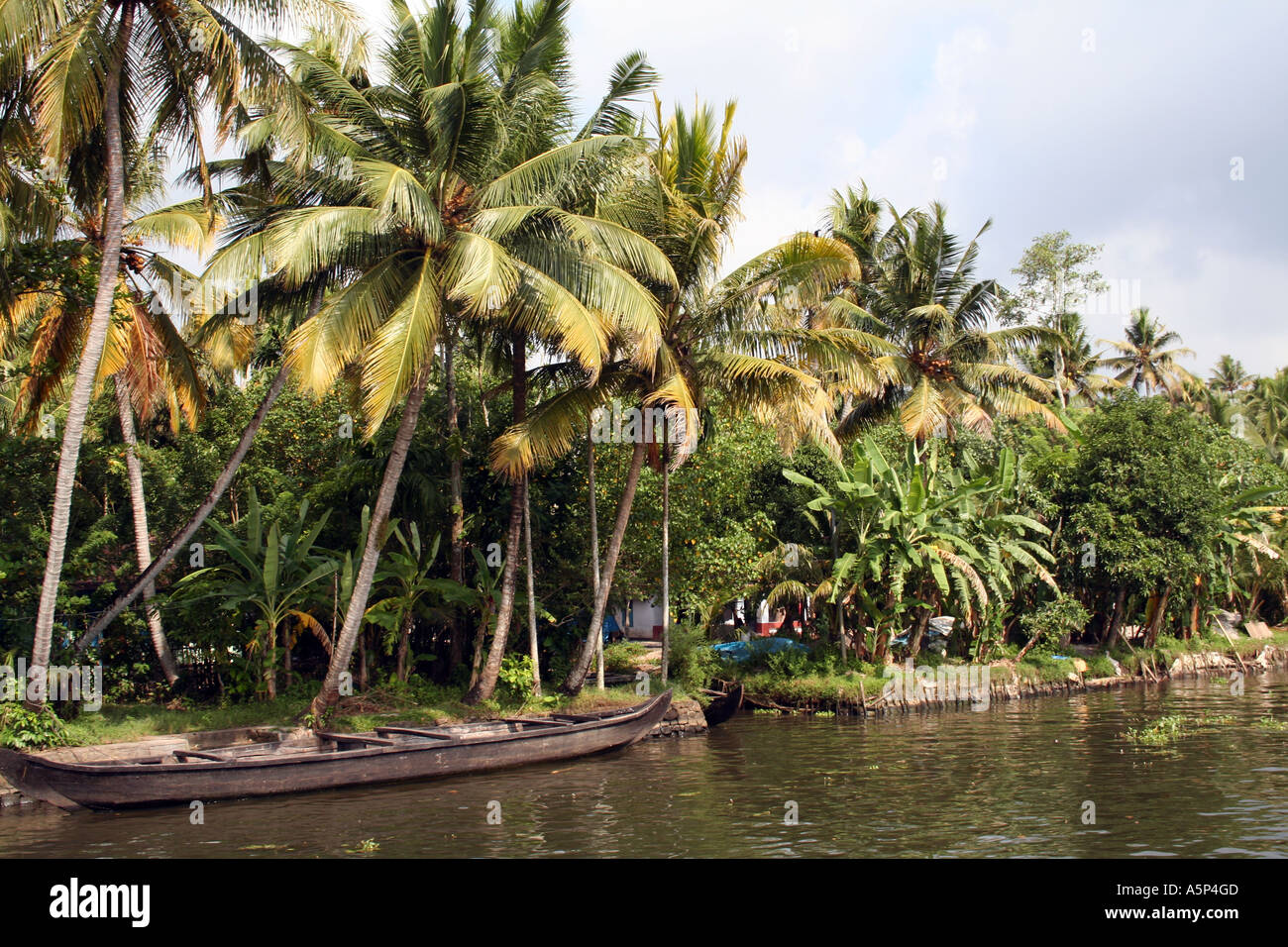 Kerala backwaters coconut trees, vallom boat Stock Photo