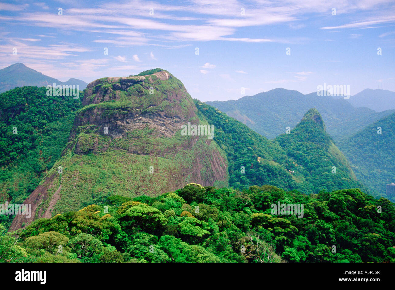 Atlantic Forest Tijuca National Park largest urban forest in the world