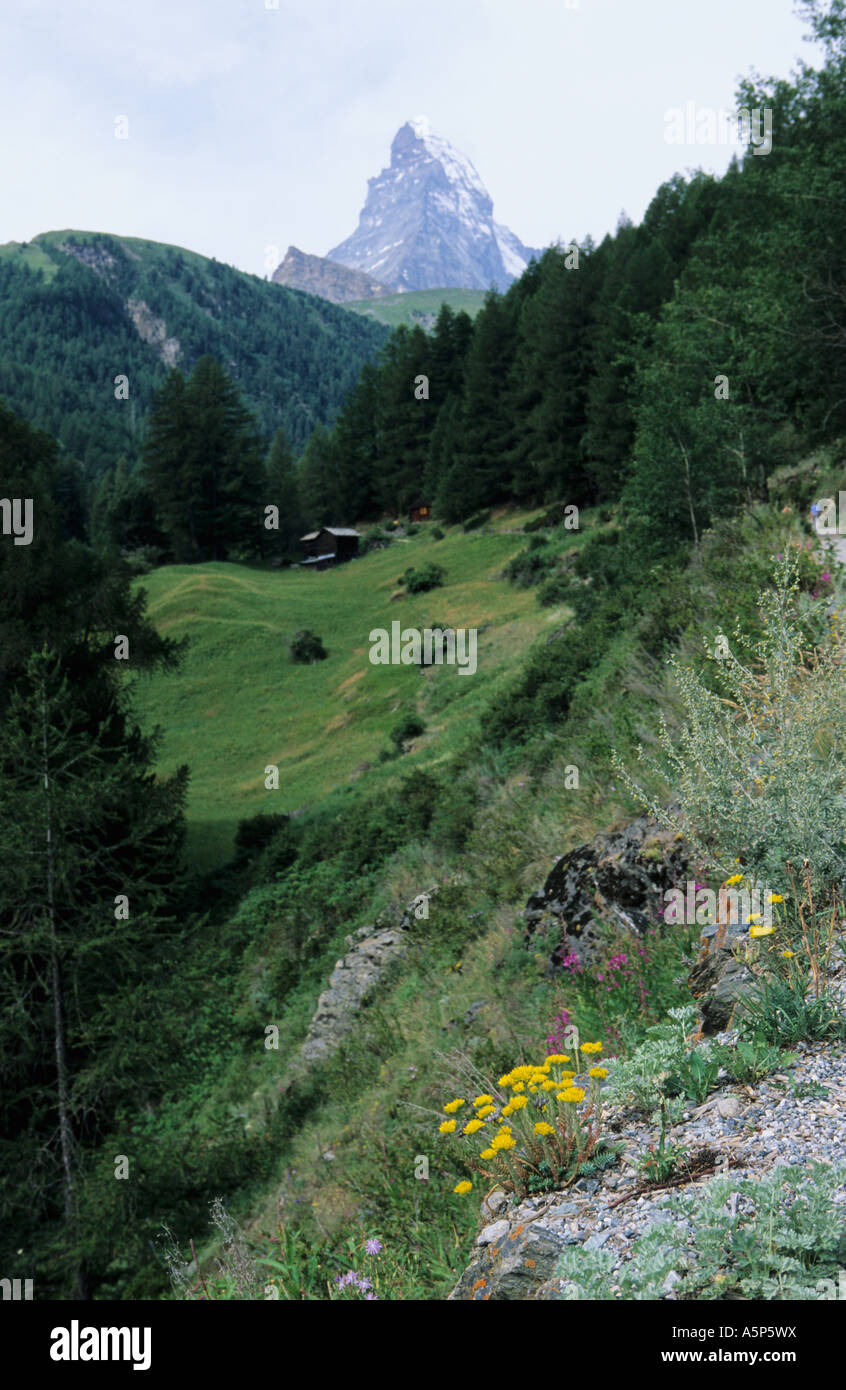 Matterhorn view in Zermatt valley Stock Photo - Alamy