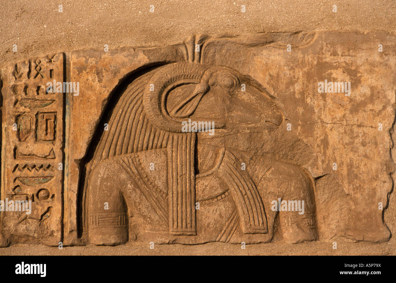 Bas-relief of the god Khnum with ram's head, Ruins of Yebu on Elephantine Island, Aswan, Egypt Stock Photo