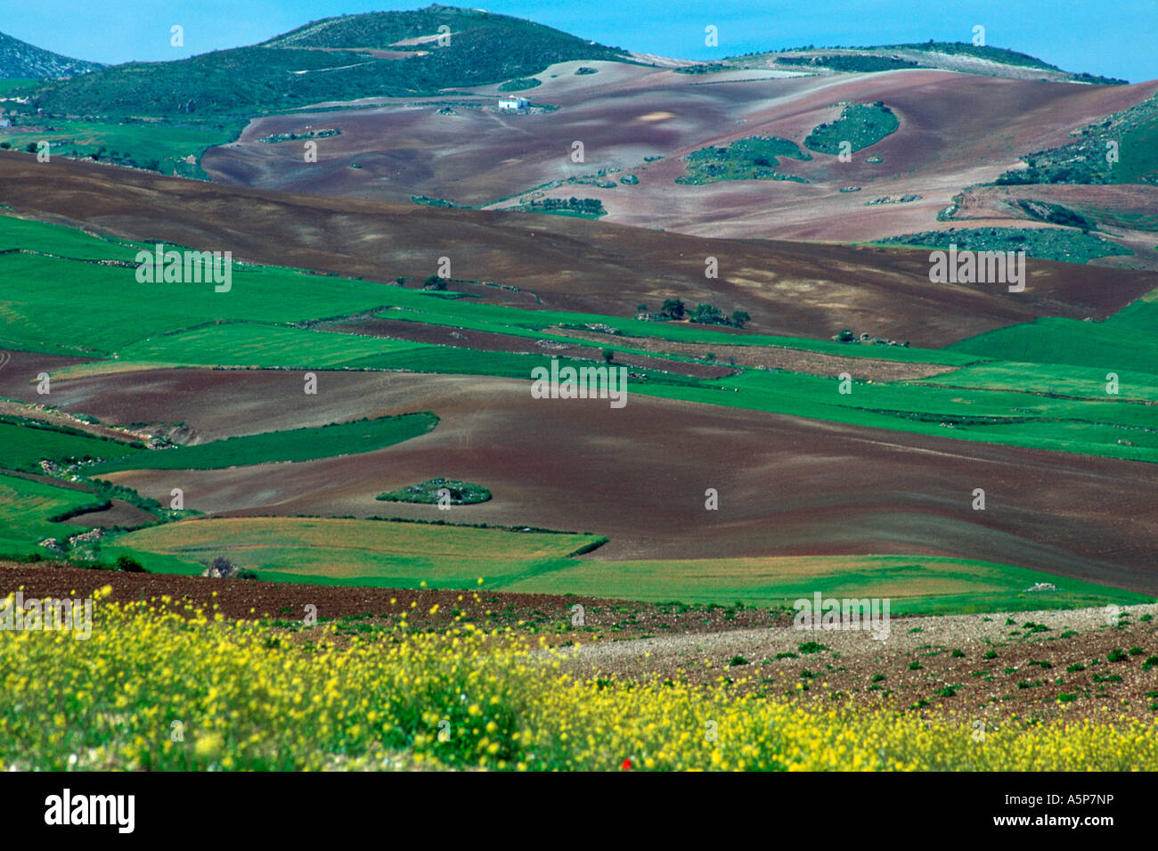 Agrarian country  Stock Photo