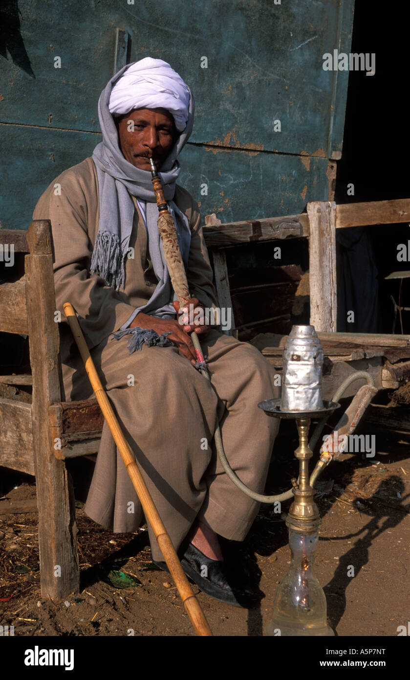 Man smoking a water pipe or Sheesha, Cairo, Egypt Stock Photo Alamy