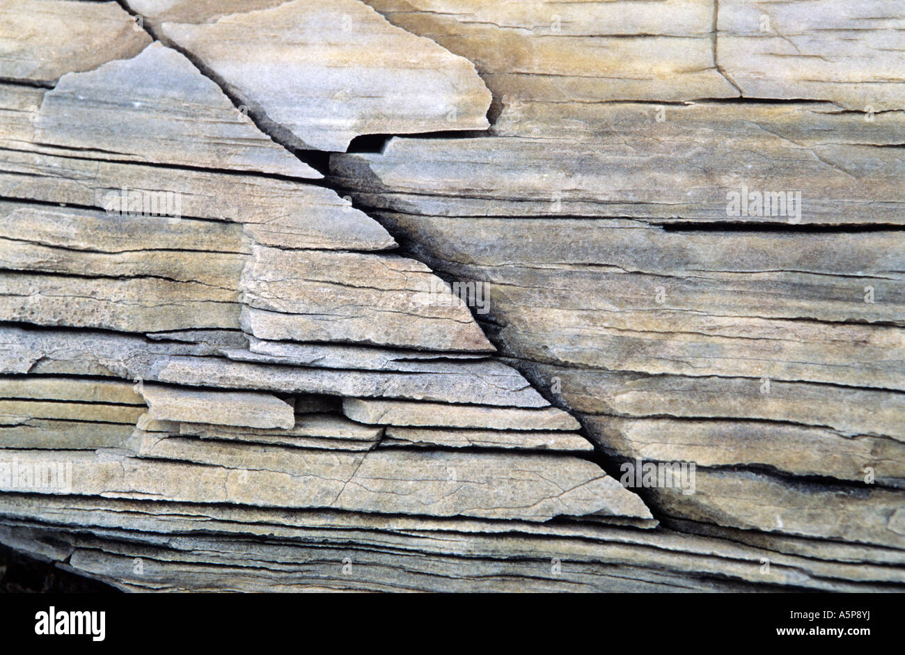 Surface Area Using Rocks Surface of a rock Stock Photo - Alamy