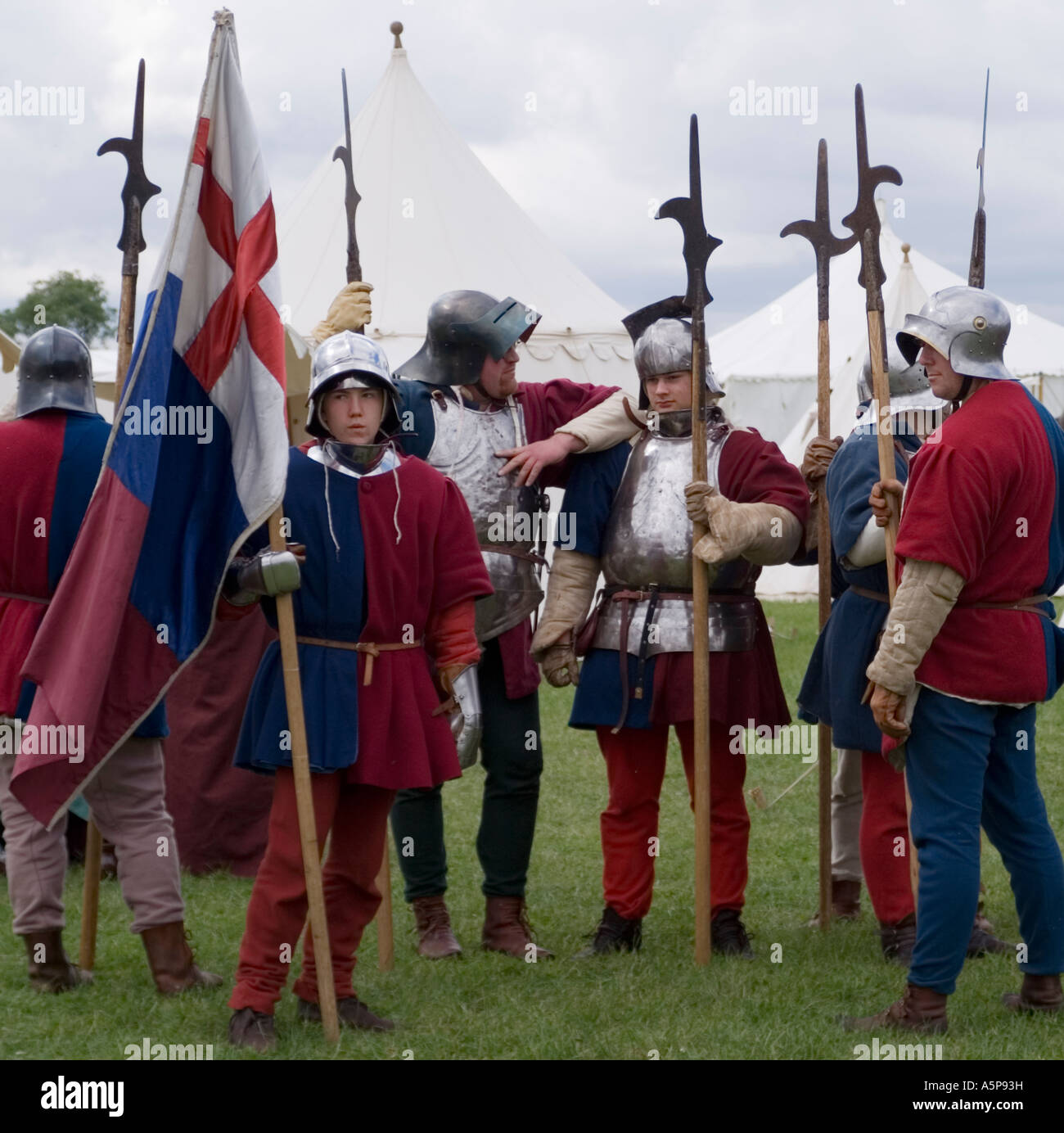 download english war of the roses for free download english war of the roses for free