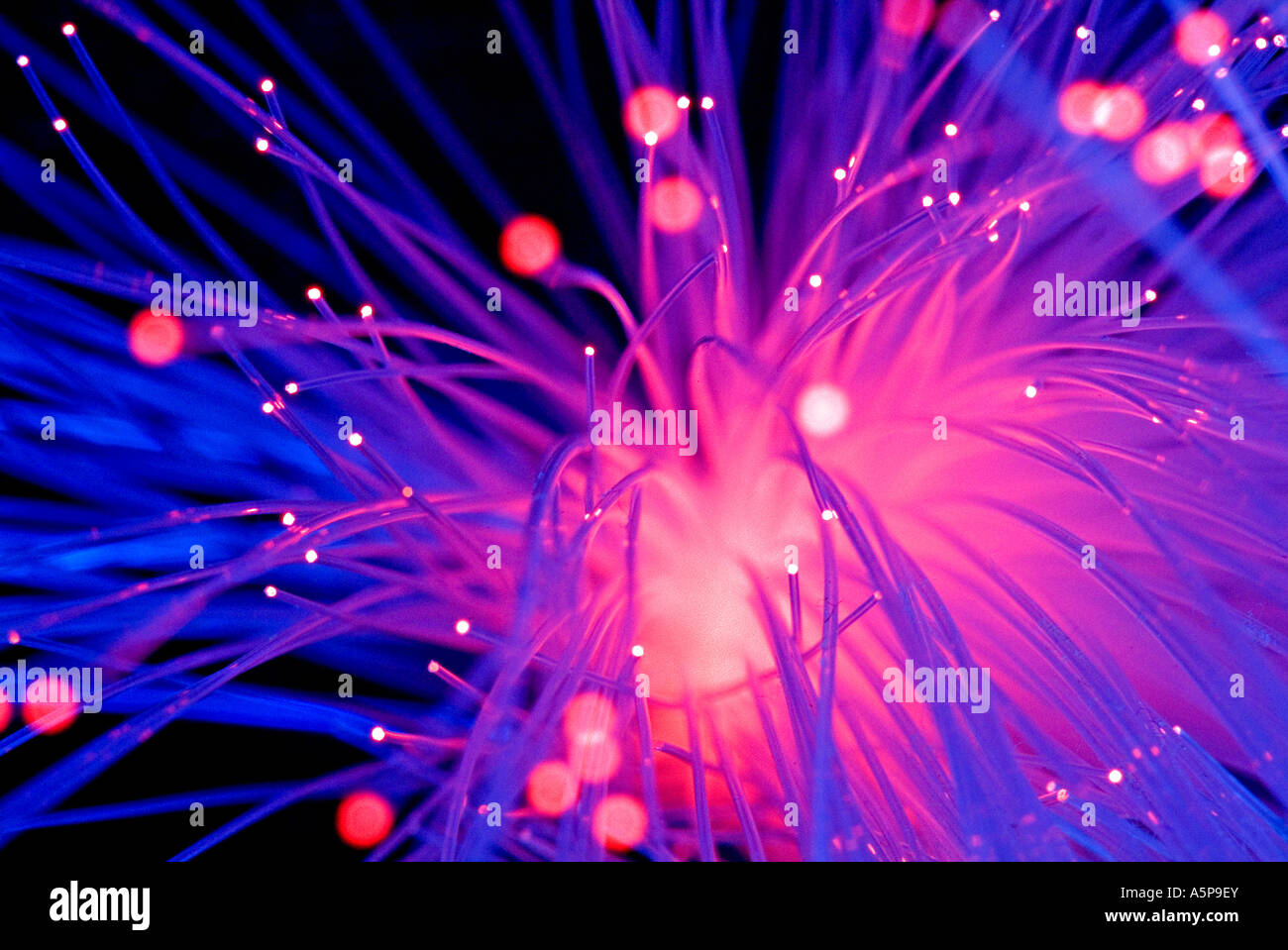 Optix hi-res stock photography and images - Alamy