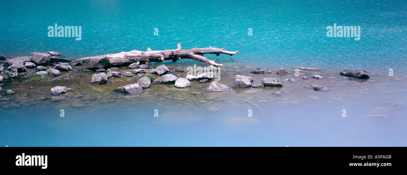 Dead tree Lac de Gaube Pyrenees France Stock Photo