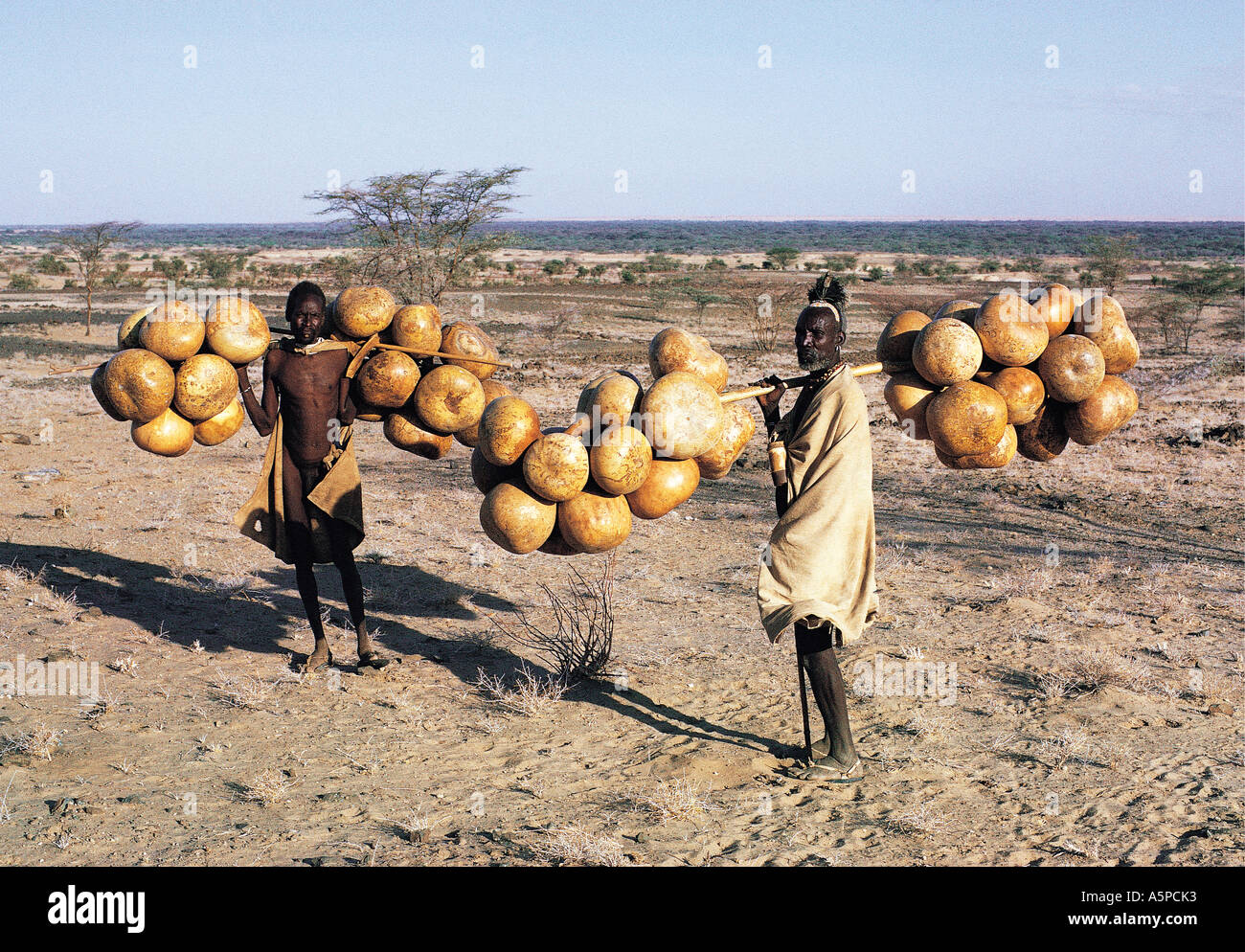Two Turkana men carrying gourds to be used as water carriers Near Lodwar northern Kenya East Africa Stock Photo