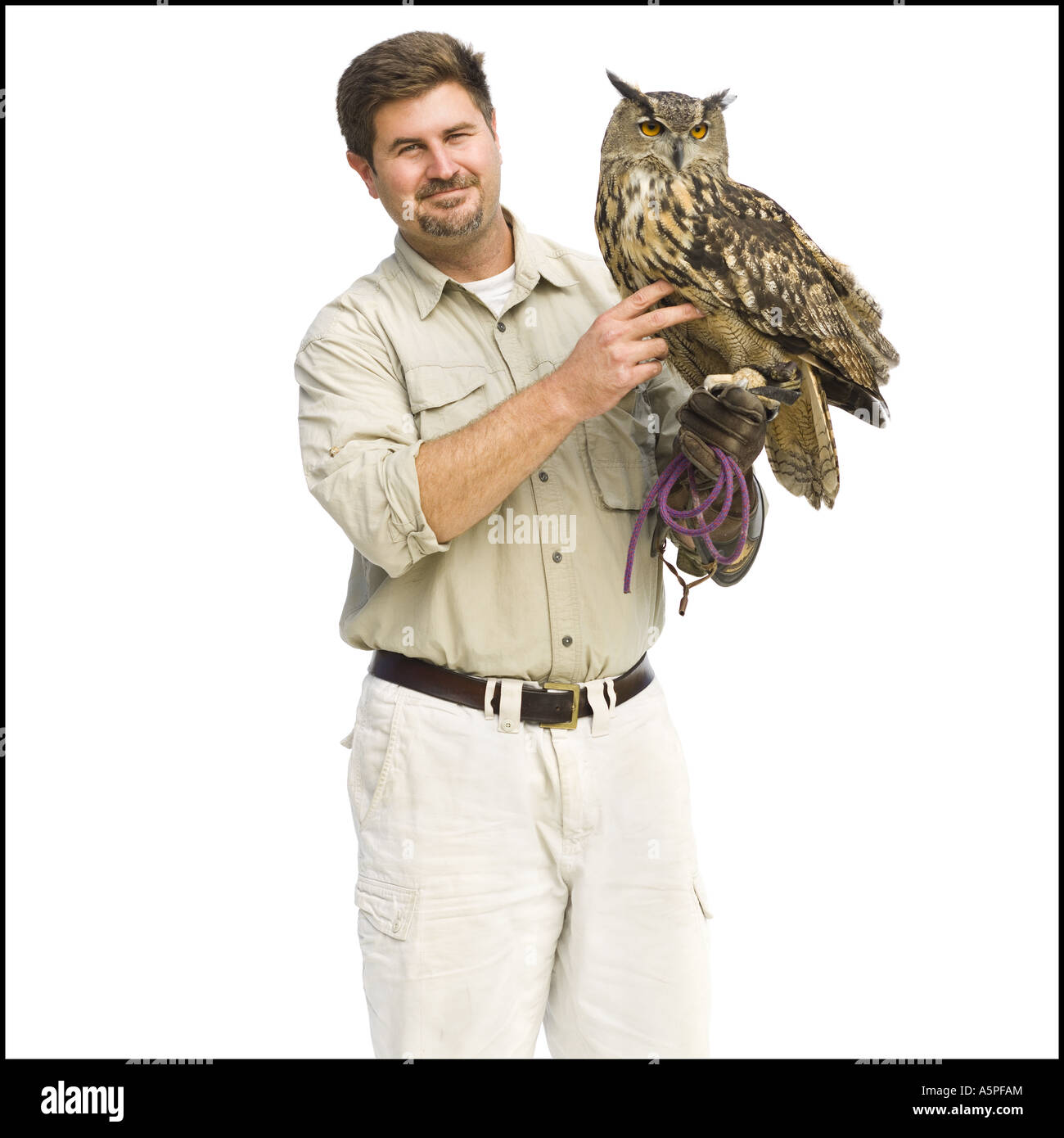 Animal bird of prey release smiling hires stock photography and images