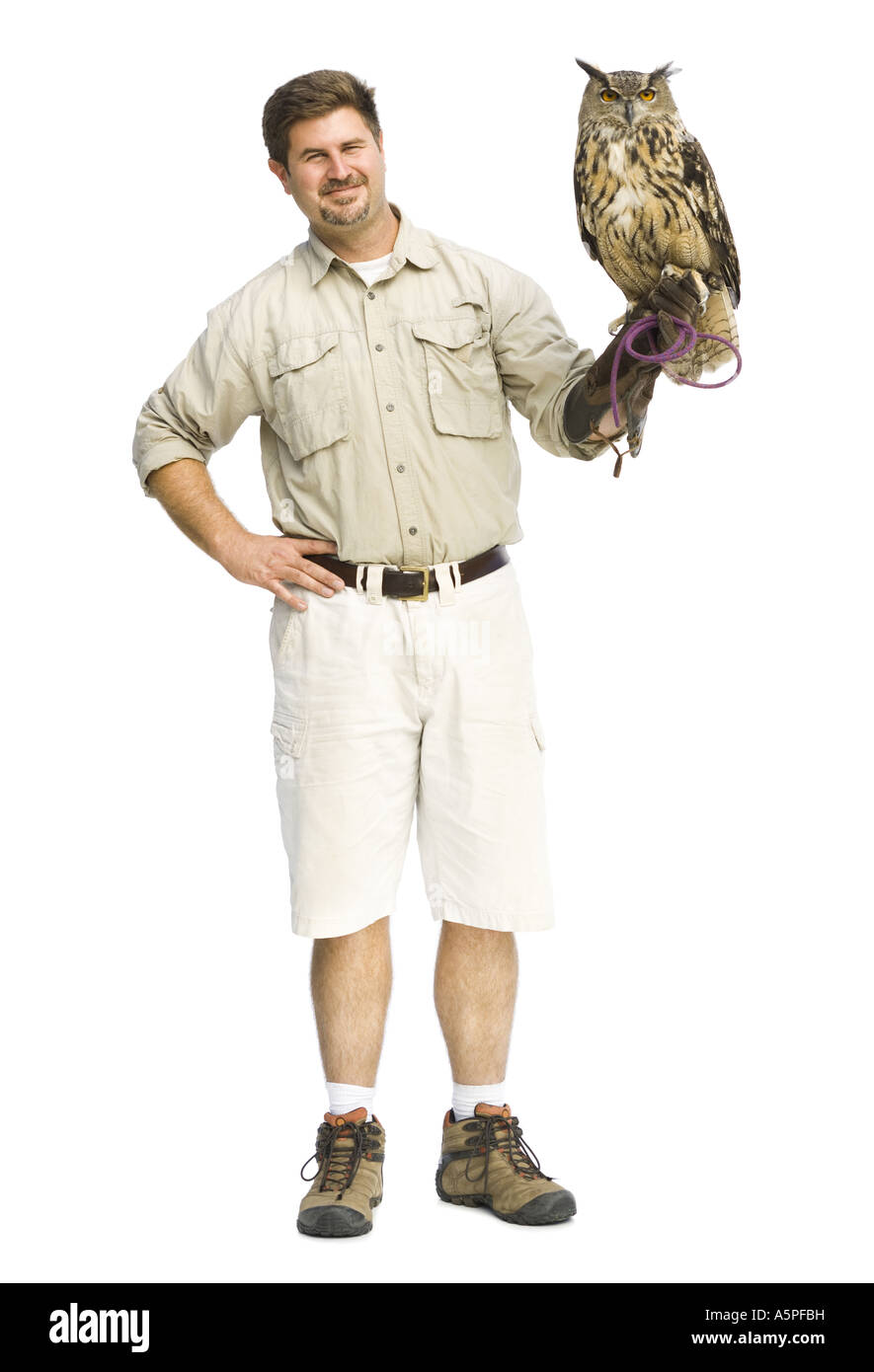 Animal handler with owl Stock Photo Alamy