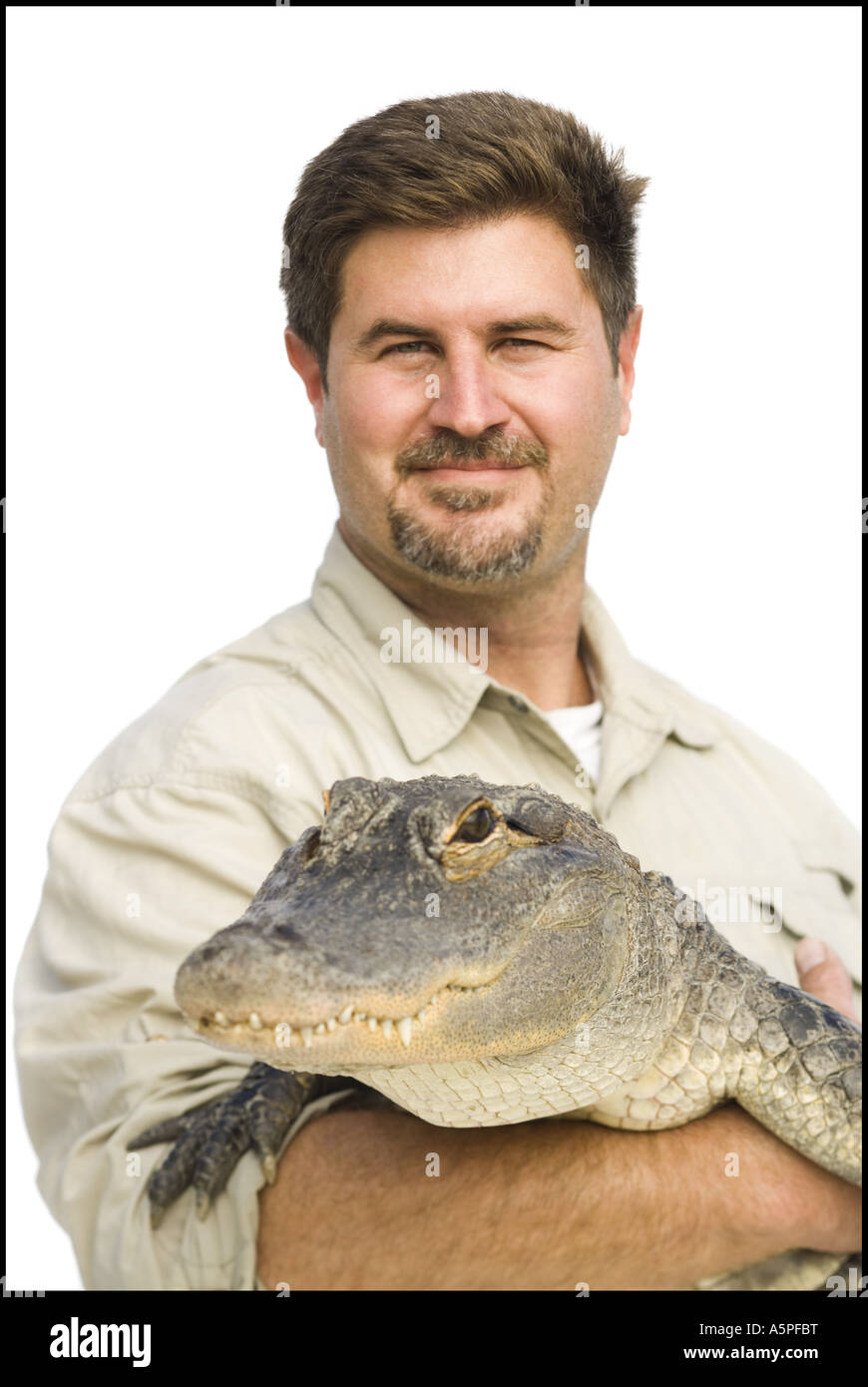 Animal handler with alligator Stock Photo Alamy