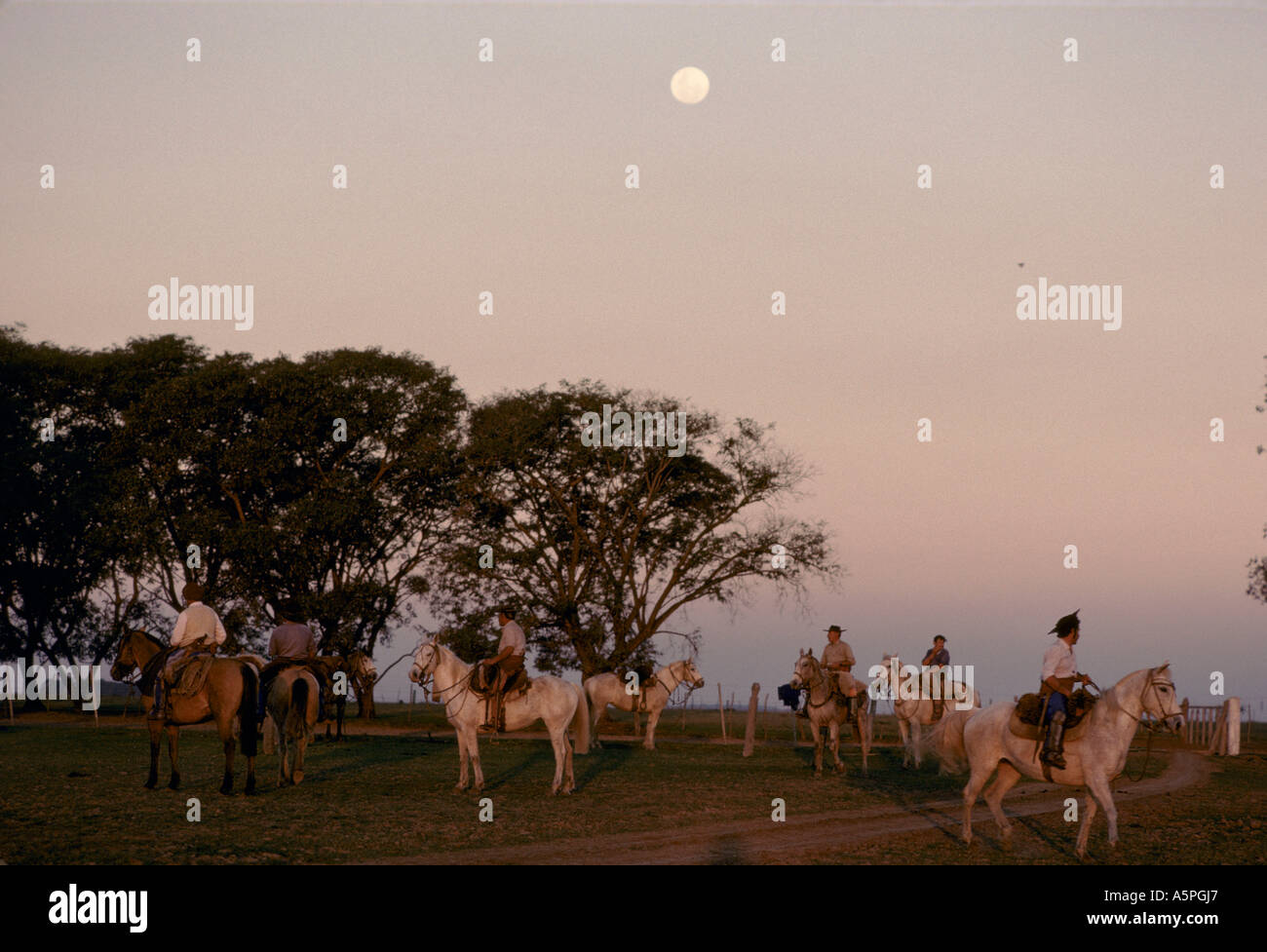 Ita Ranch EARLY EVENING AT