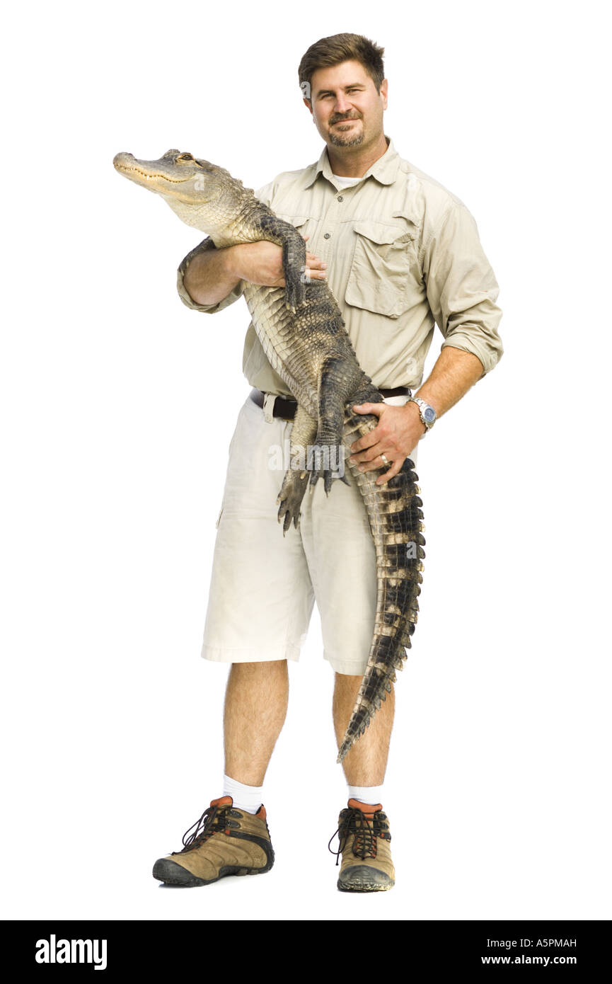 Animal handler with alligator Stock Photo Alamy