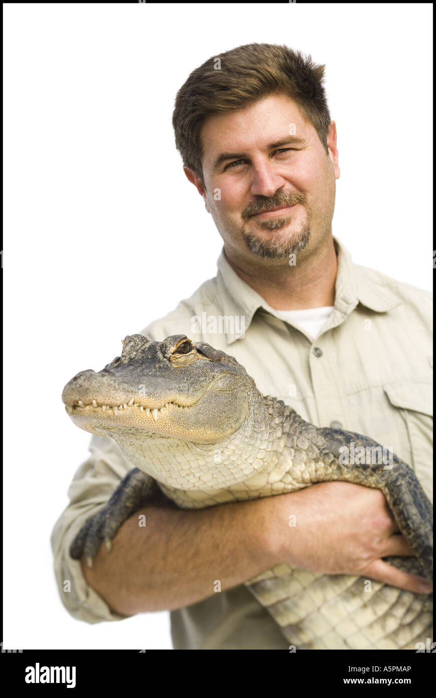 Animal handler with alligator Stock Photo Alamy