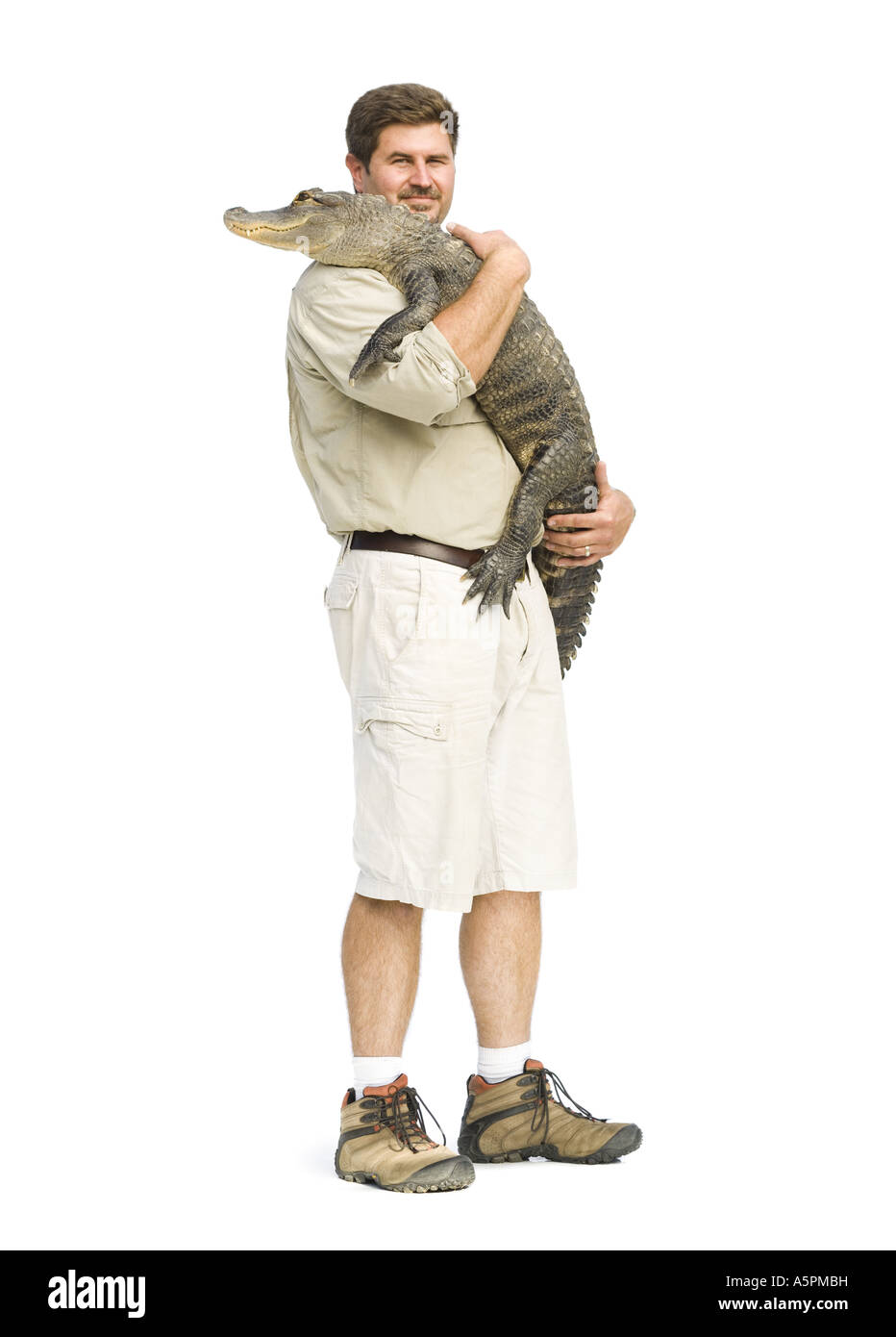 Animal handler with alligator Stock Photo Alamy