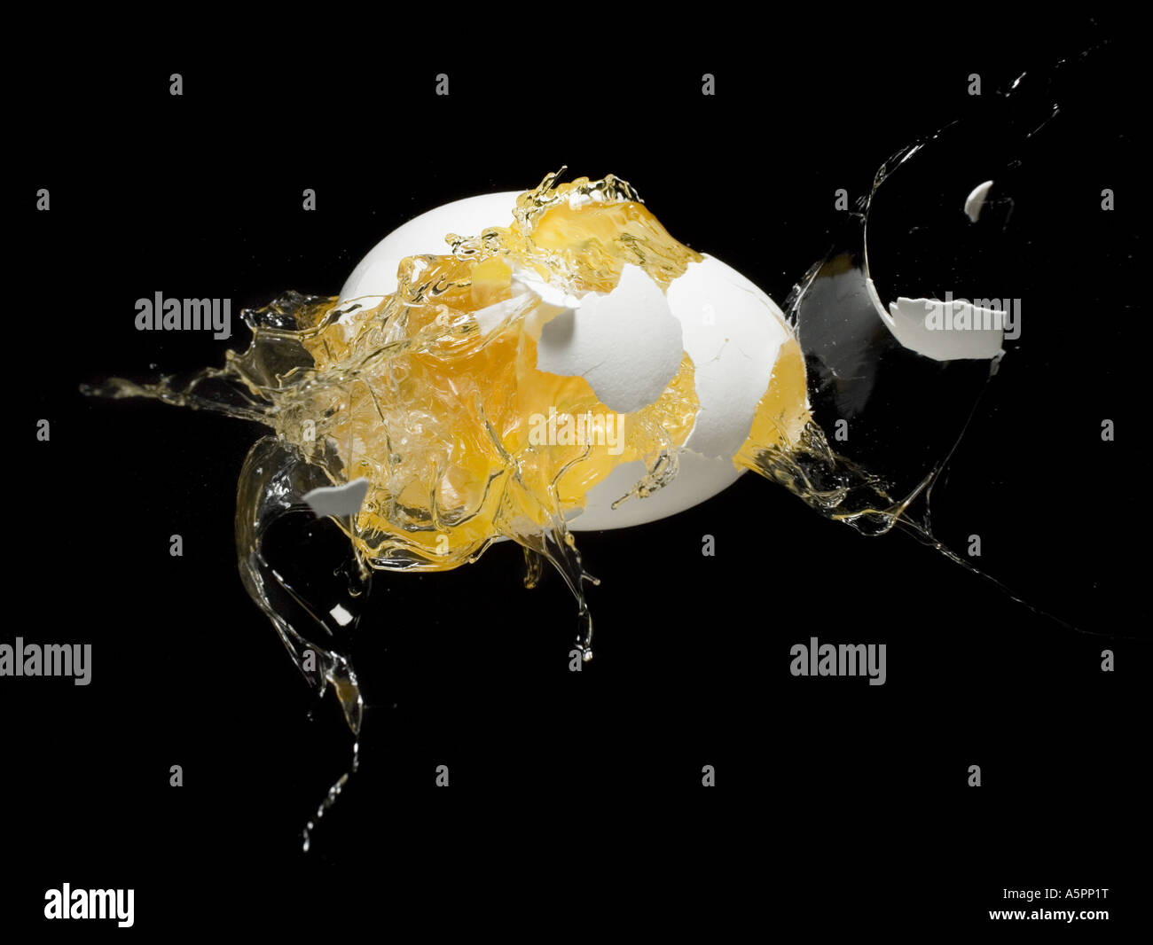 Exploding egg Stock Photo