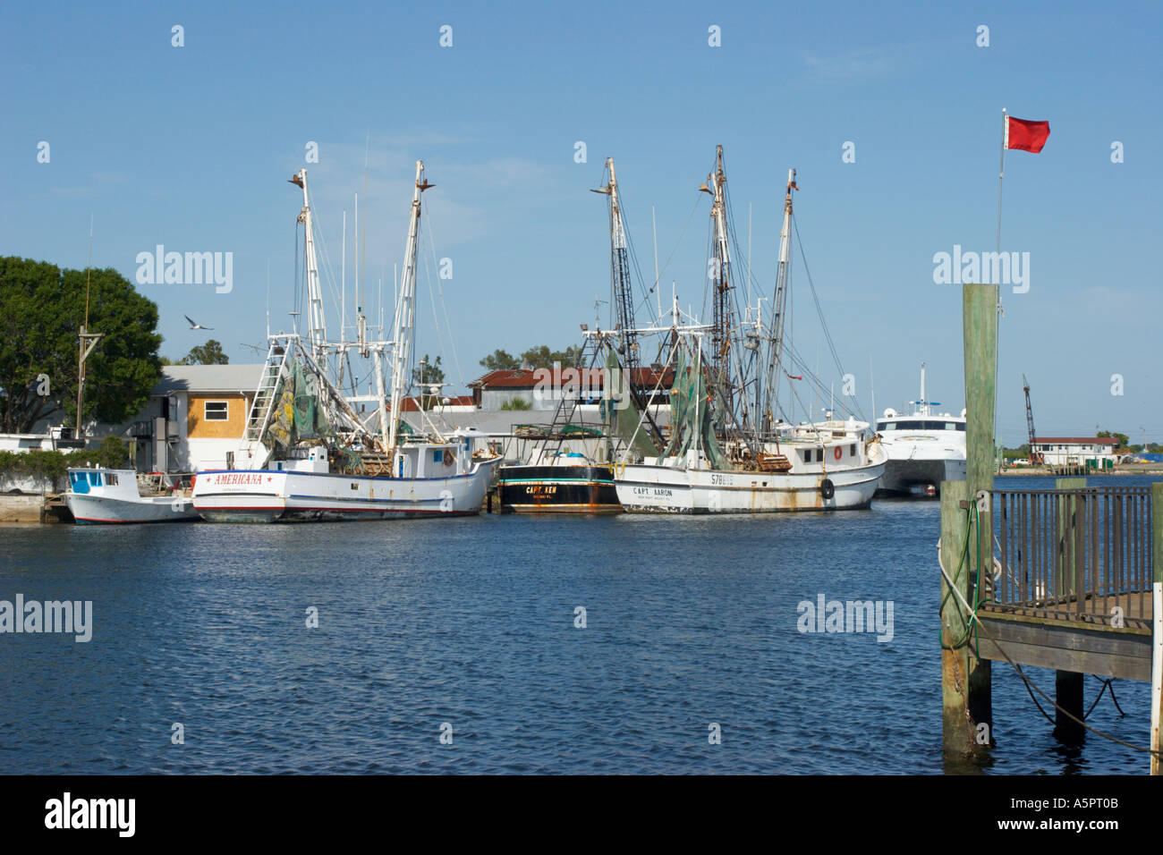 Commercial shrimp fishing boats in Tarpon Springs Florida harbor Stock Photo