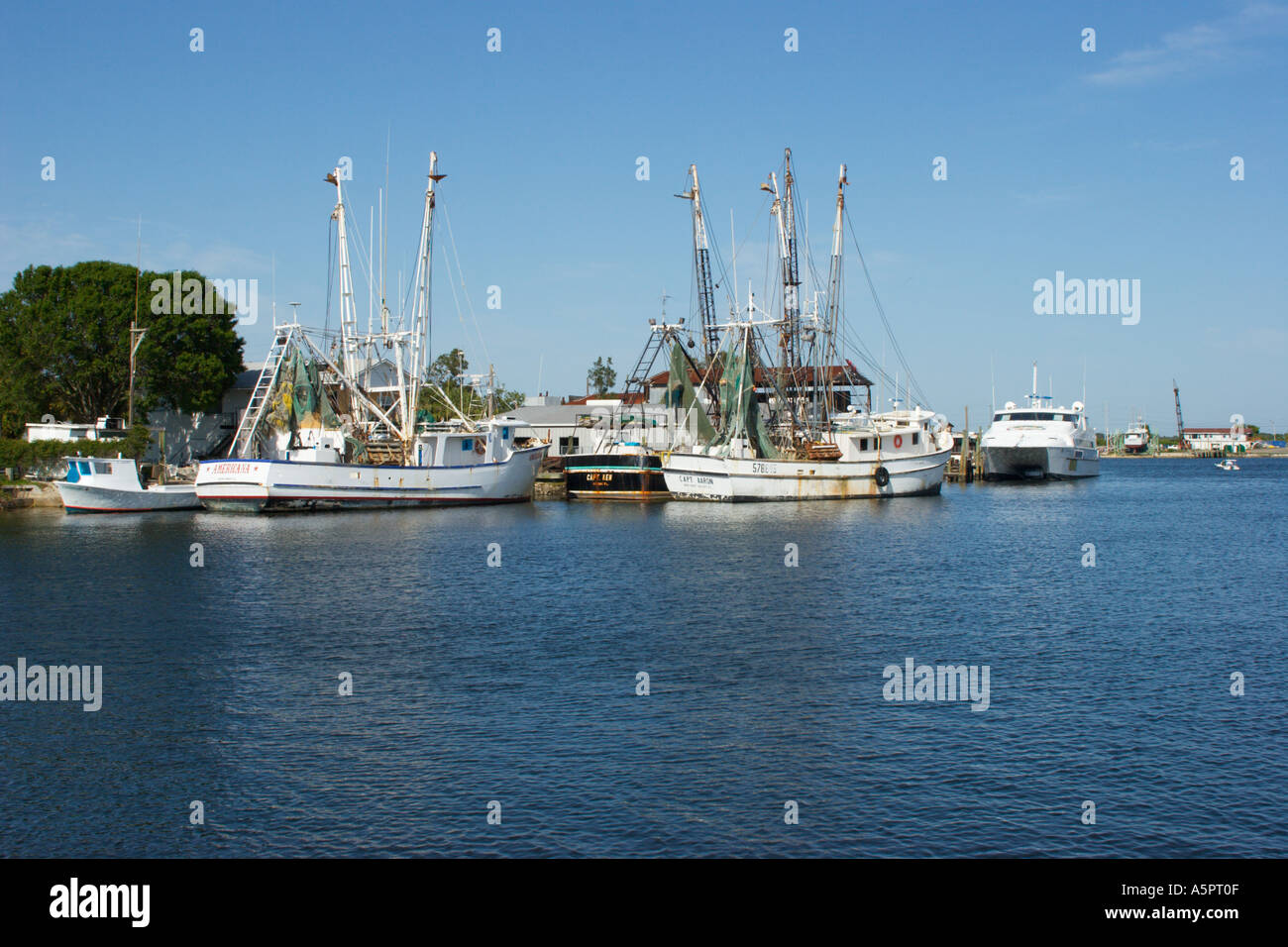 Commercial shrimp fishing boats in Tarpon Springs Florida harbor Stock Photo