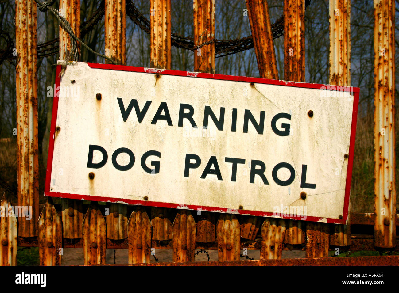 Warning Dog Patrol sign near Eshott on the A1 motorway Northumberland United Kingdom Great Britain England UK Stock Photo