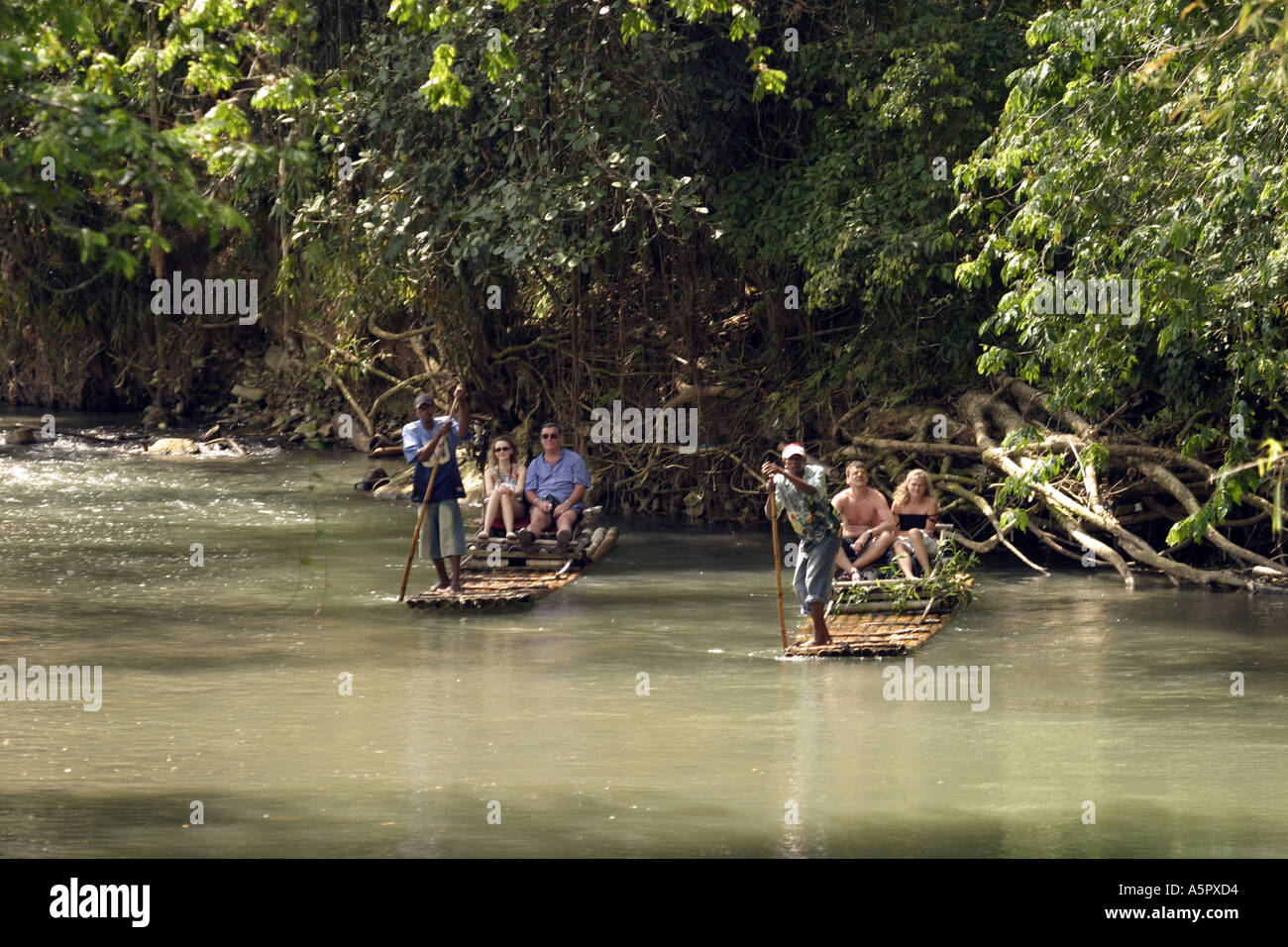 caribbean jamaica rafting on the great river at lethe Stock Photo - Alamy