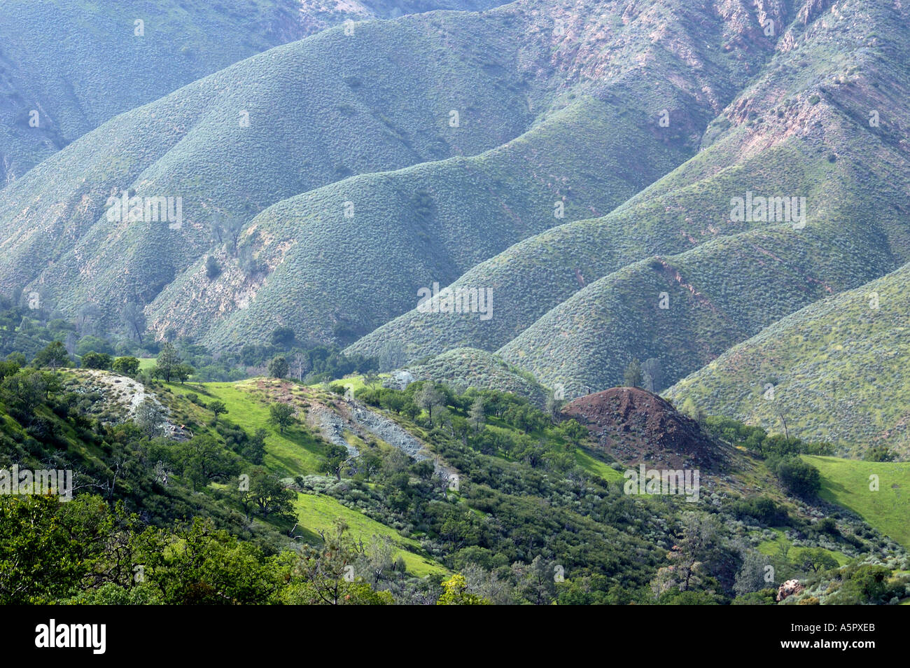 Los Padres National Forest Stock Photo Alamy