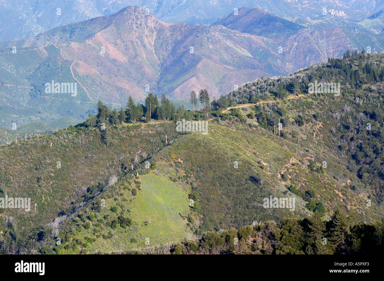 Los Padres National Forest Stock Photo - Alamy