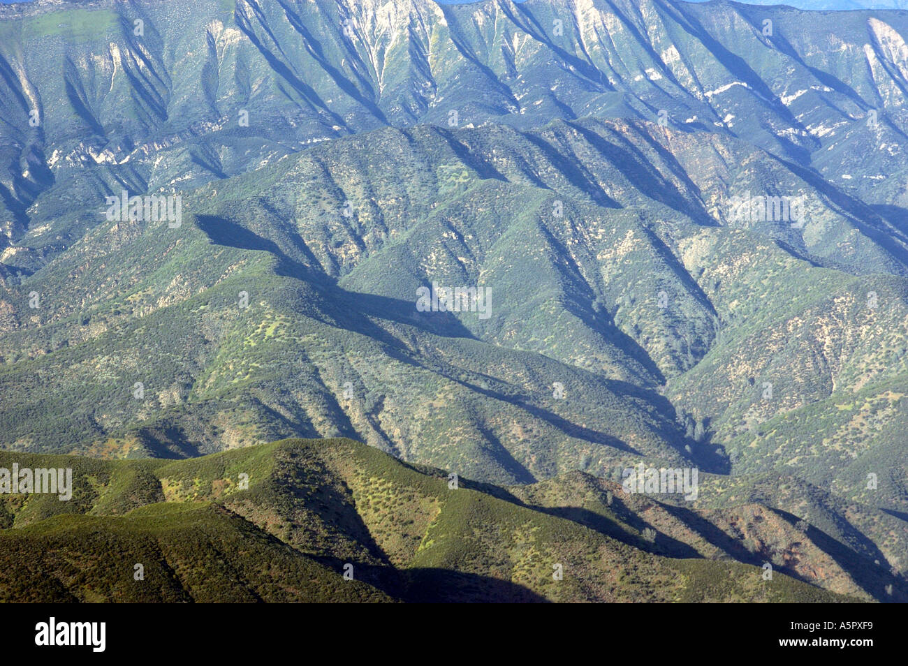 Los Padres National Forest Stock Photo Alamy