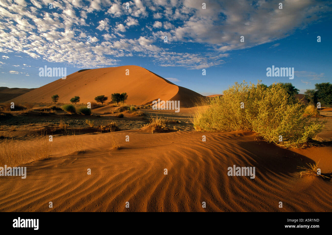 SOSSUSVLEI NAMIB NAUKLUFT NATIONAL PARK NAMIBIA visual data 7