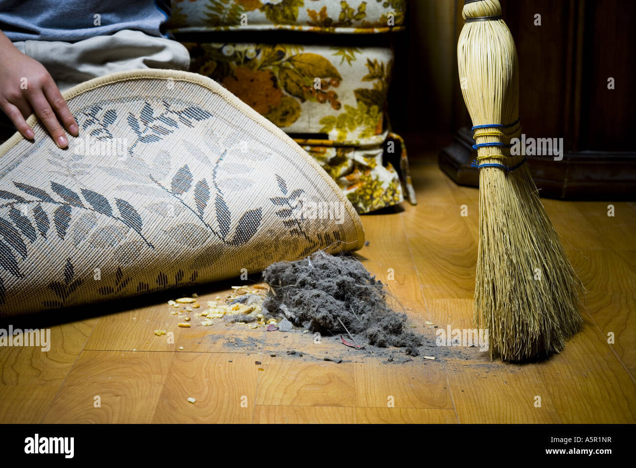 Sweeping under carpet hi-res stock photography and images - Alamy