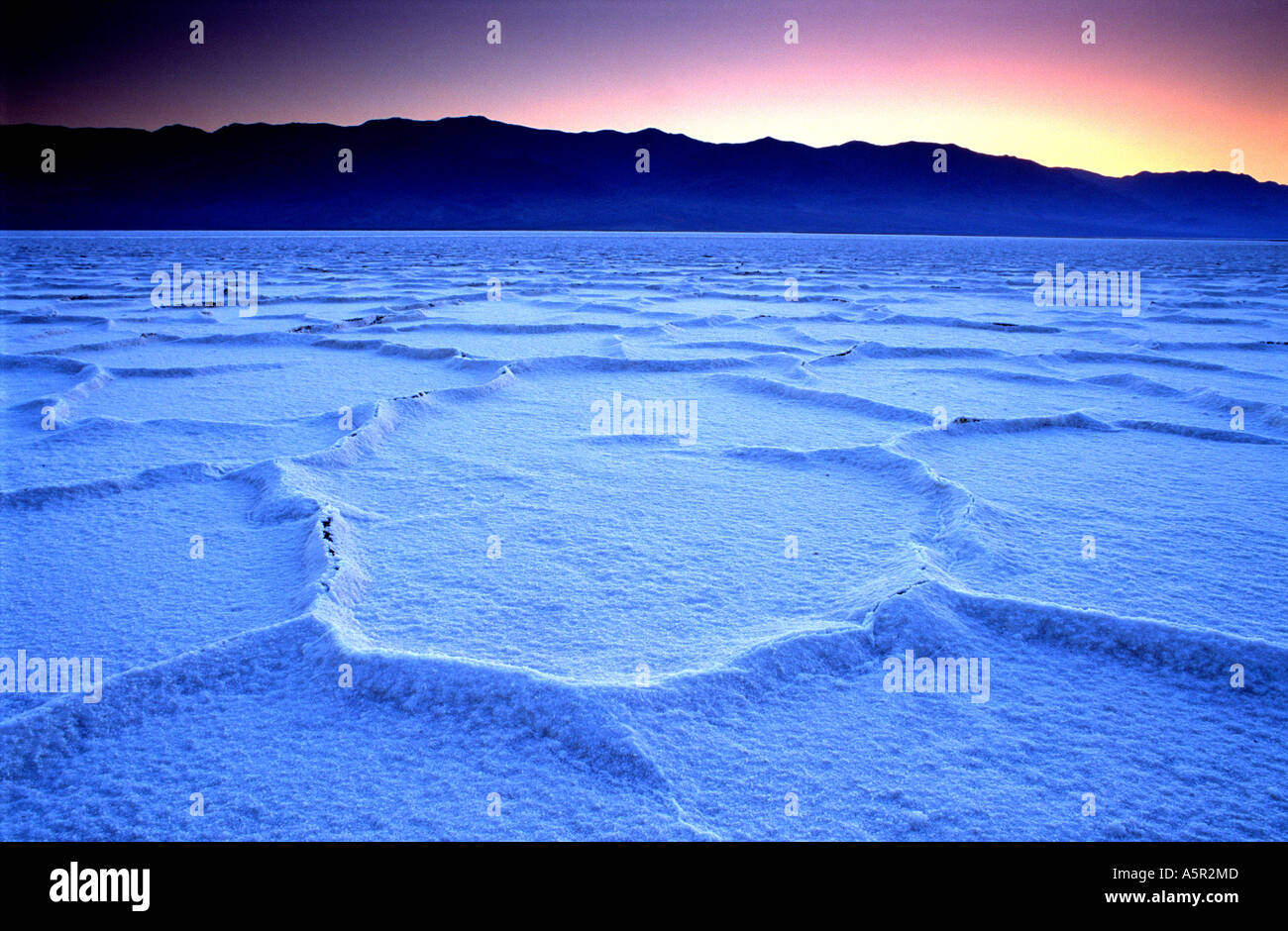 Salt polygons in Death Valley National Park California USA Stock Photo