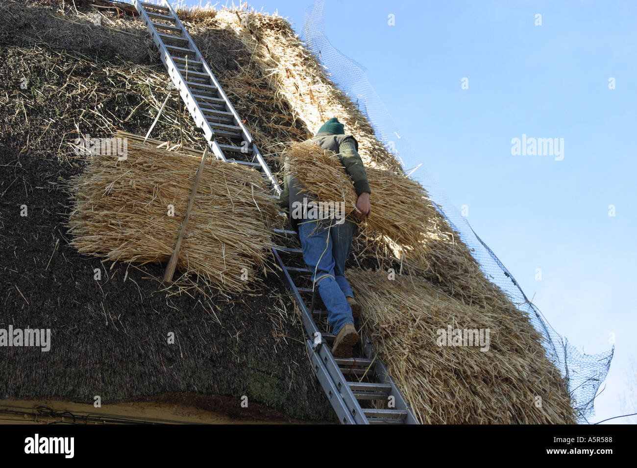Old thatcher hi res stock photography and images Alamy
