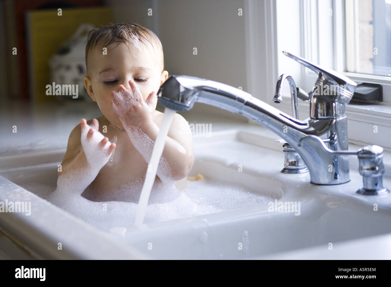 Baby bathing in sink Stock Photo Alamy