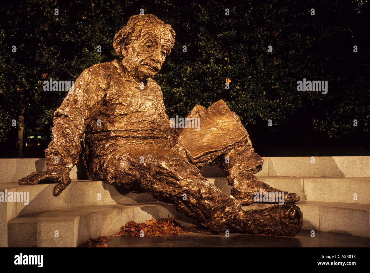 Statue of Albert Einstein in Washington DC Stock Photo