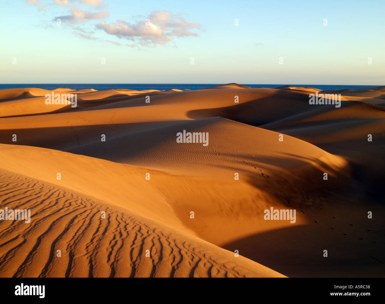 Maspalomas, Sand Dunes Stock Photo