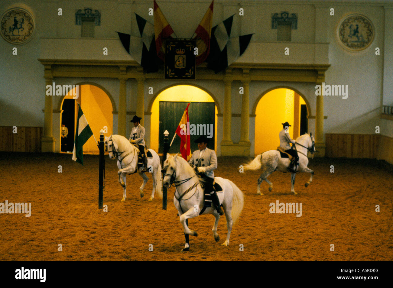 TRIO OF RIDERS ON WHITE HORSES DISPLAYING SKILLS IN ARENA AT THE ROYAL SCHOOL OF EQUESTRIAN ART JEREZ SPAIN Stock Photo