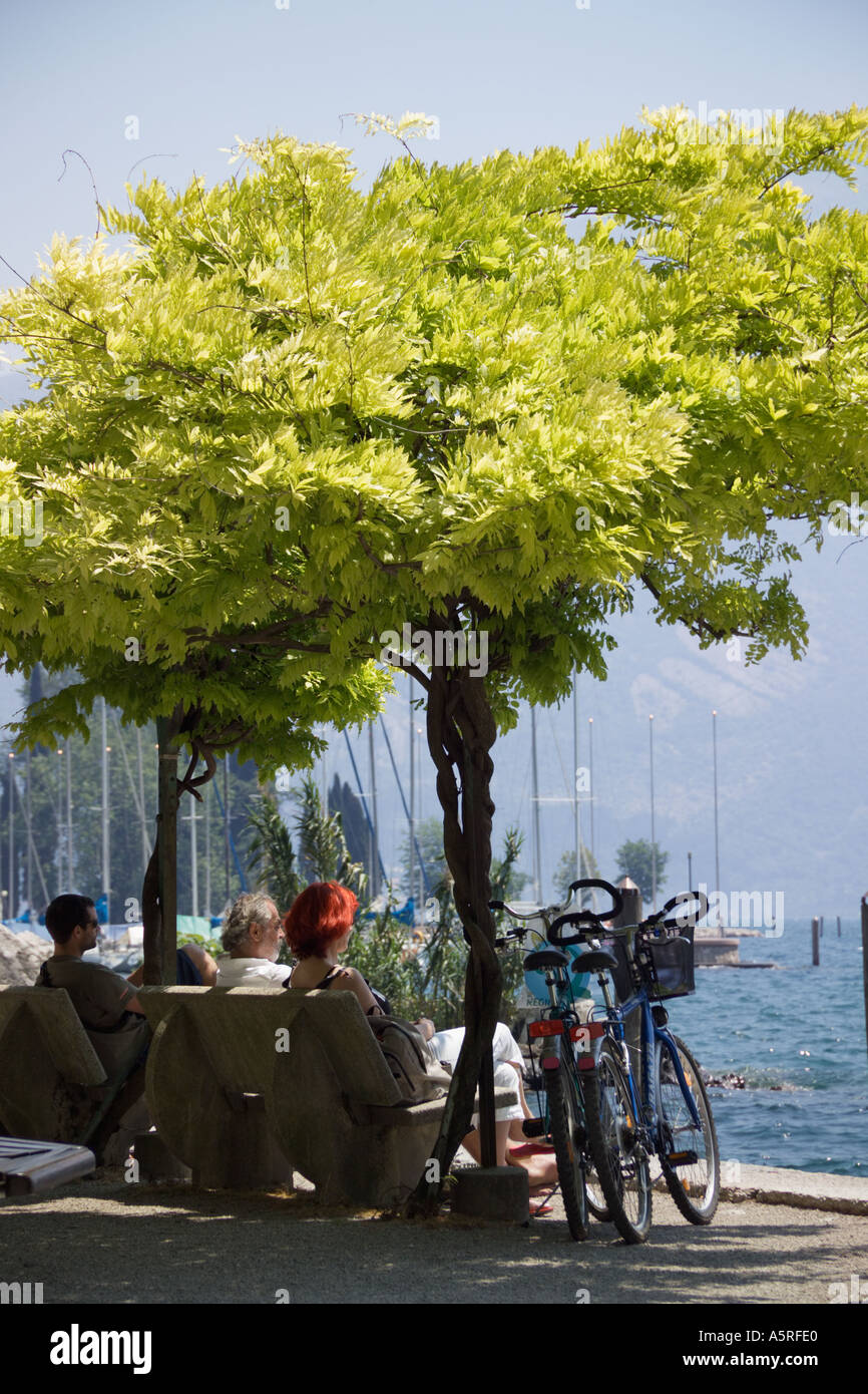 Side of lake garda hi-res stock photography and images - Alamy