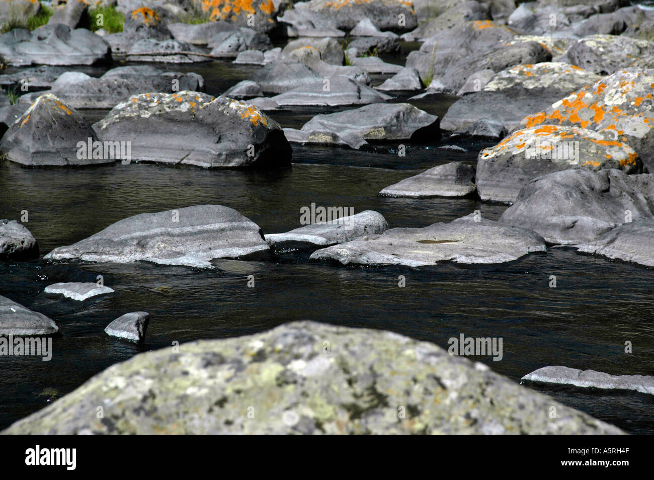 Polished rocks in the waterbed of Orkhon River Mongolia Stock Photo Alamy