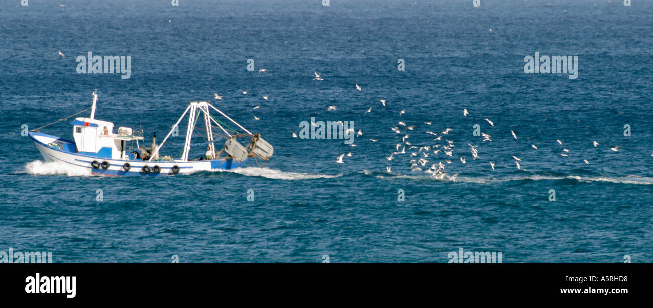 Birds following fishing boat Stock Photo Alamy