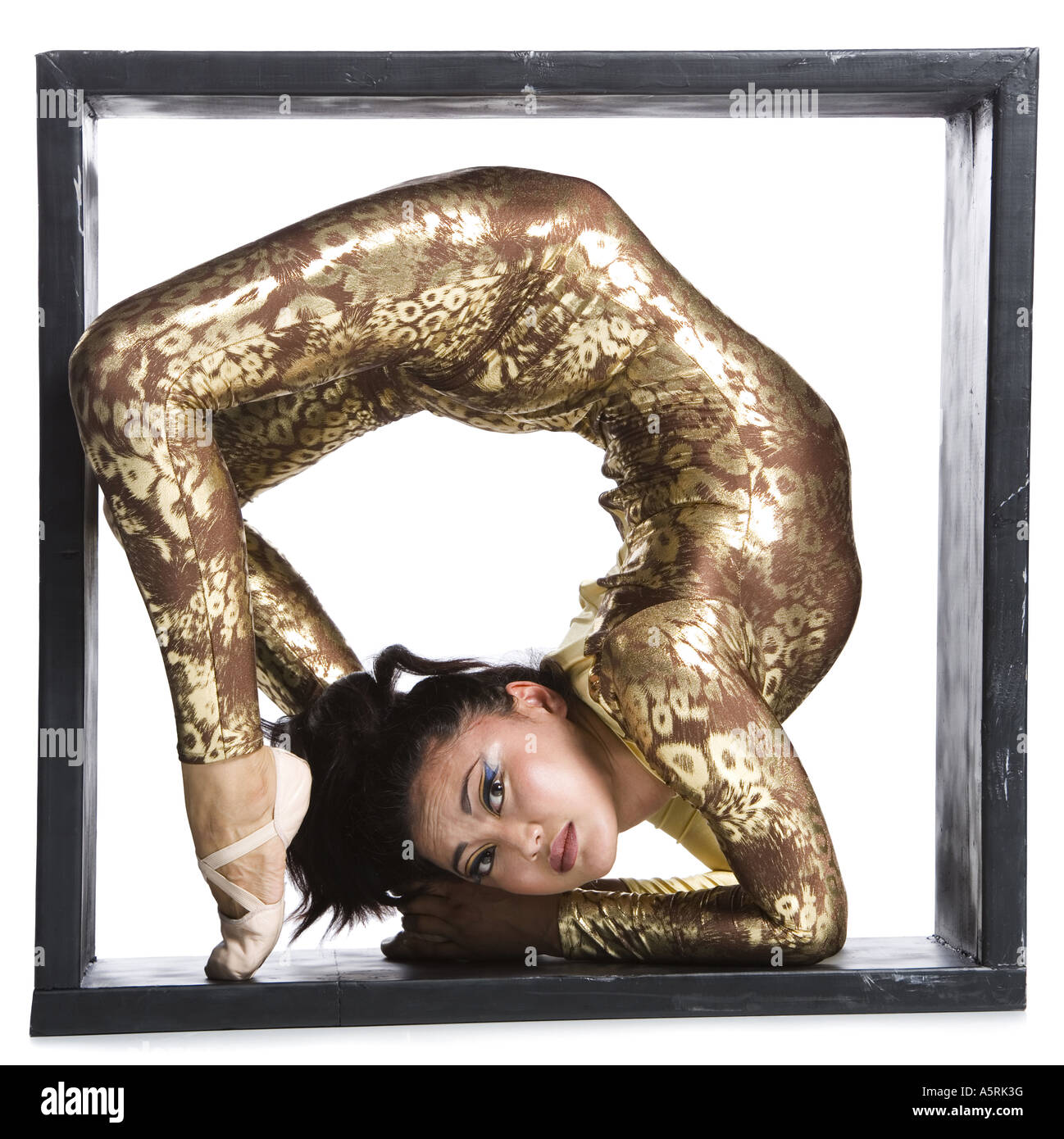 Female contortionist inside the box Stock Photo