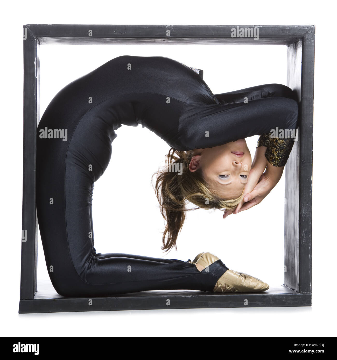 Female contortionist inside the box Stock Photo