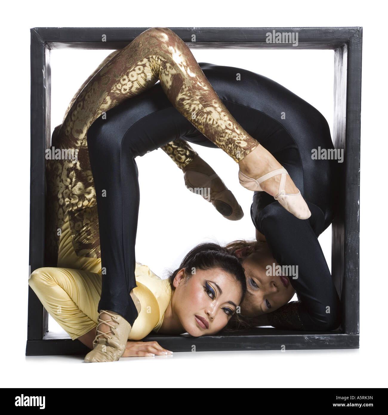 Female contortionist duo inside the box Stock Photo