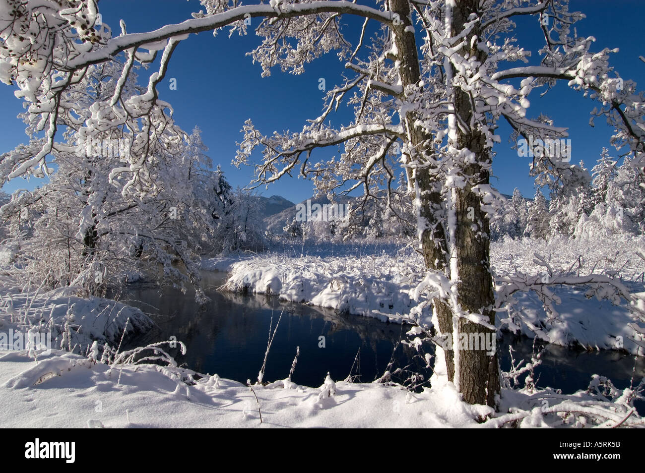 snow covered winter landscape in the Murnauer Moos Moor near Murnau ...