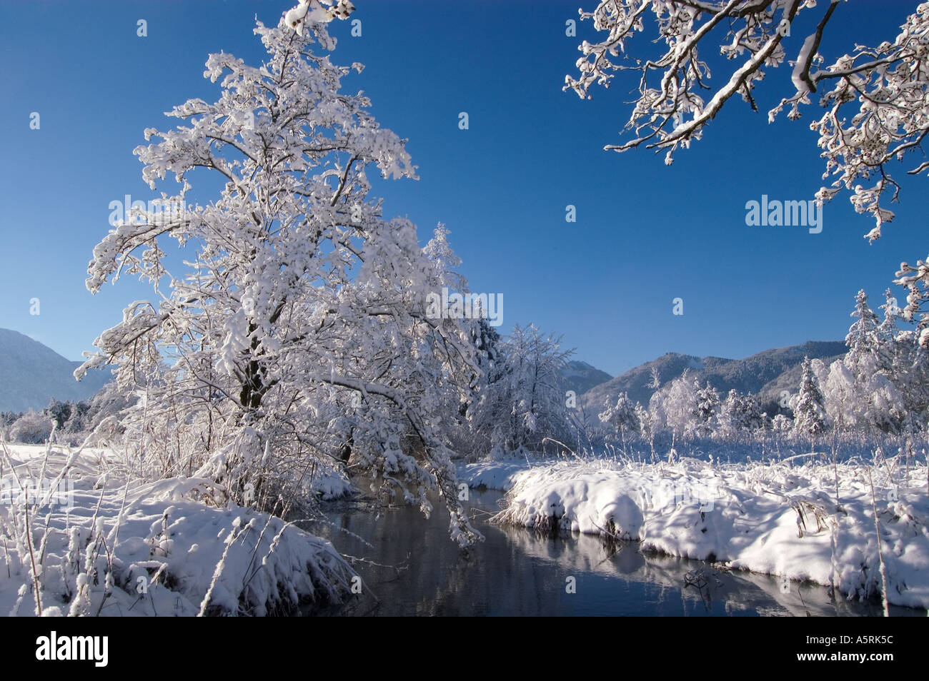snow covered winter landscape in the Murnauer Moos Moor near Murnau ...