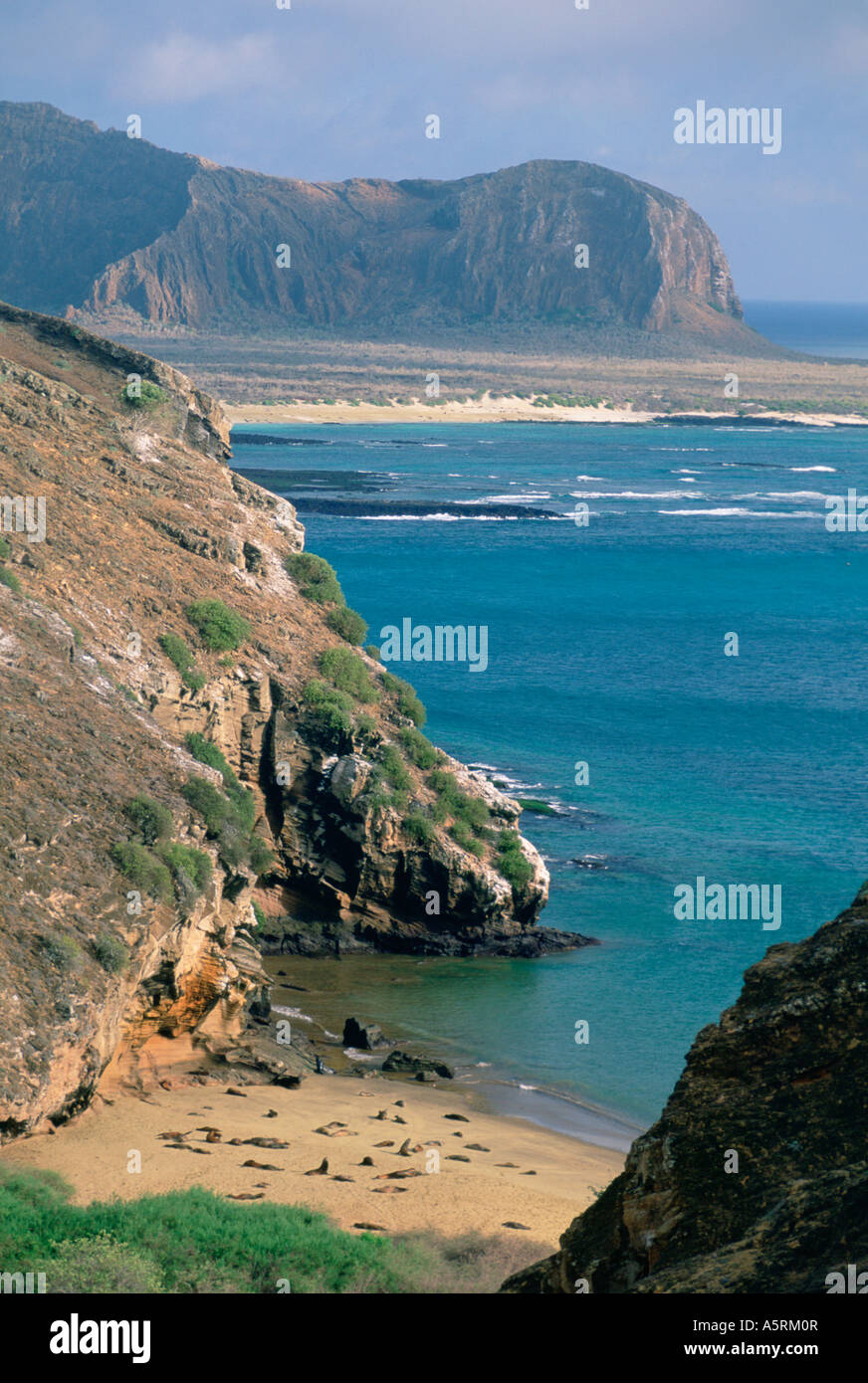 Punta Pitt San Cristobal Island Galapagos Islands Ecuador Stock Photo