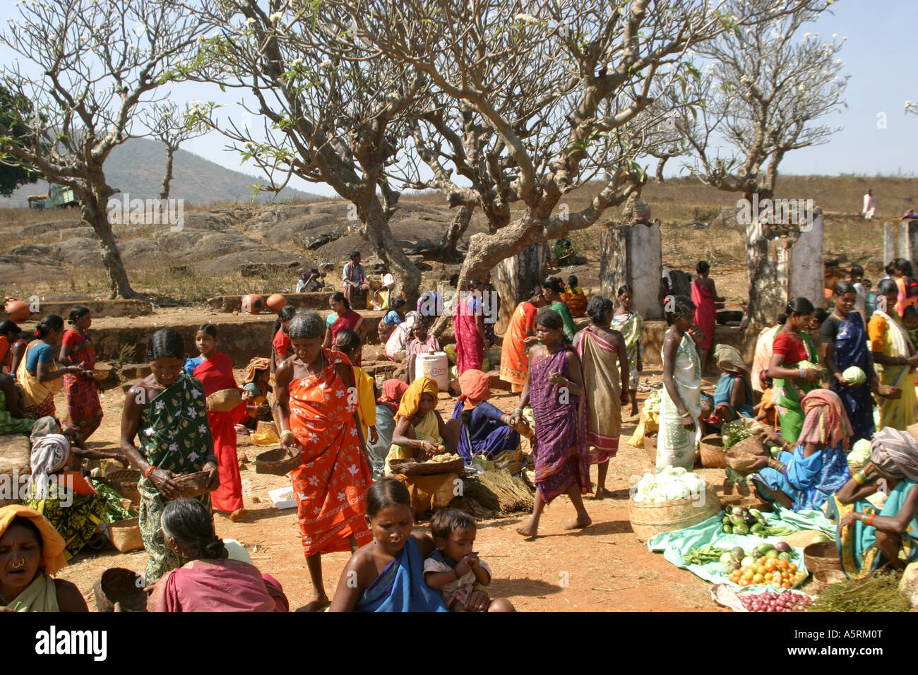 Frangipani trees form an exotic background to the colourful rural Desia ,Paraja Mali tribal women's weekly barter market Orissa Stock Photo