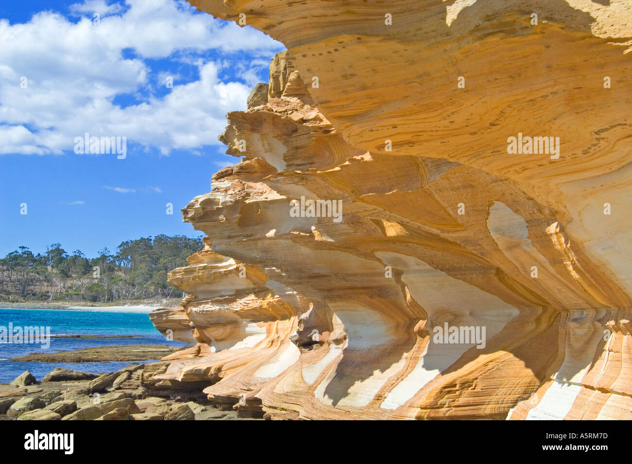 Painted Cliffs In Maria Island Nationalpark Tasmania Australia Stock 